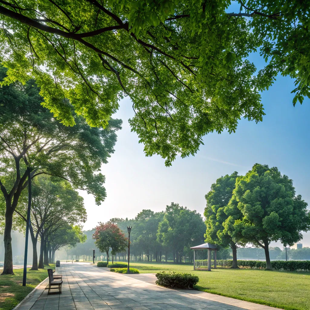 Fresh Air Zone